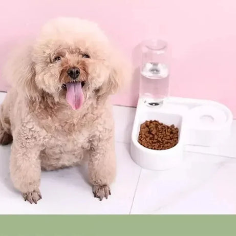 Tigela de comida dupla com alimentação Pet, adequada para gatos e cães pequen